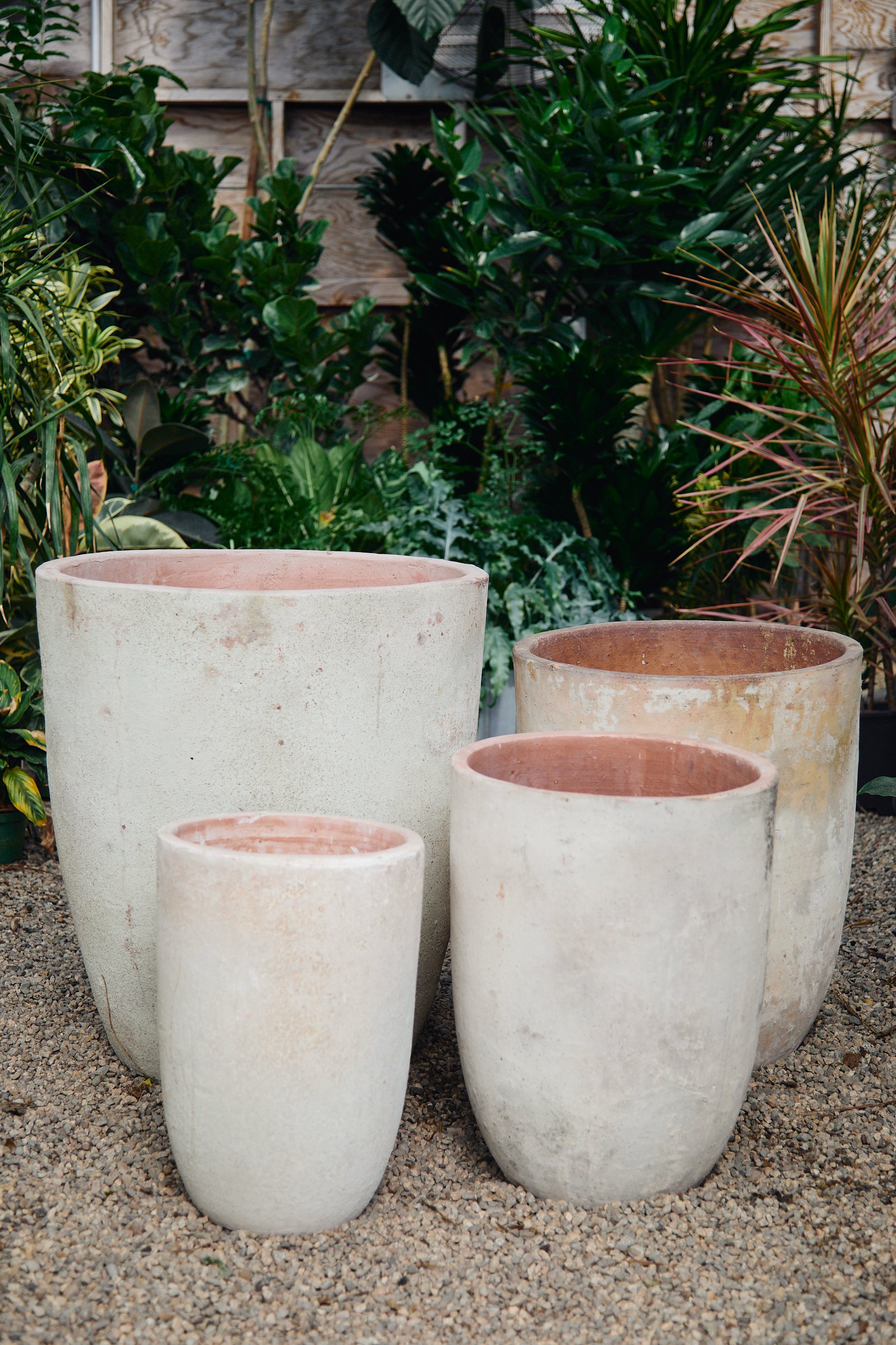 cream ceramic plant pots Designer Garden Planters