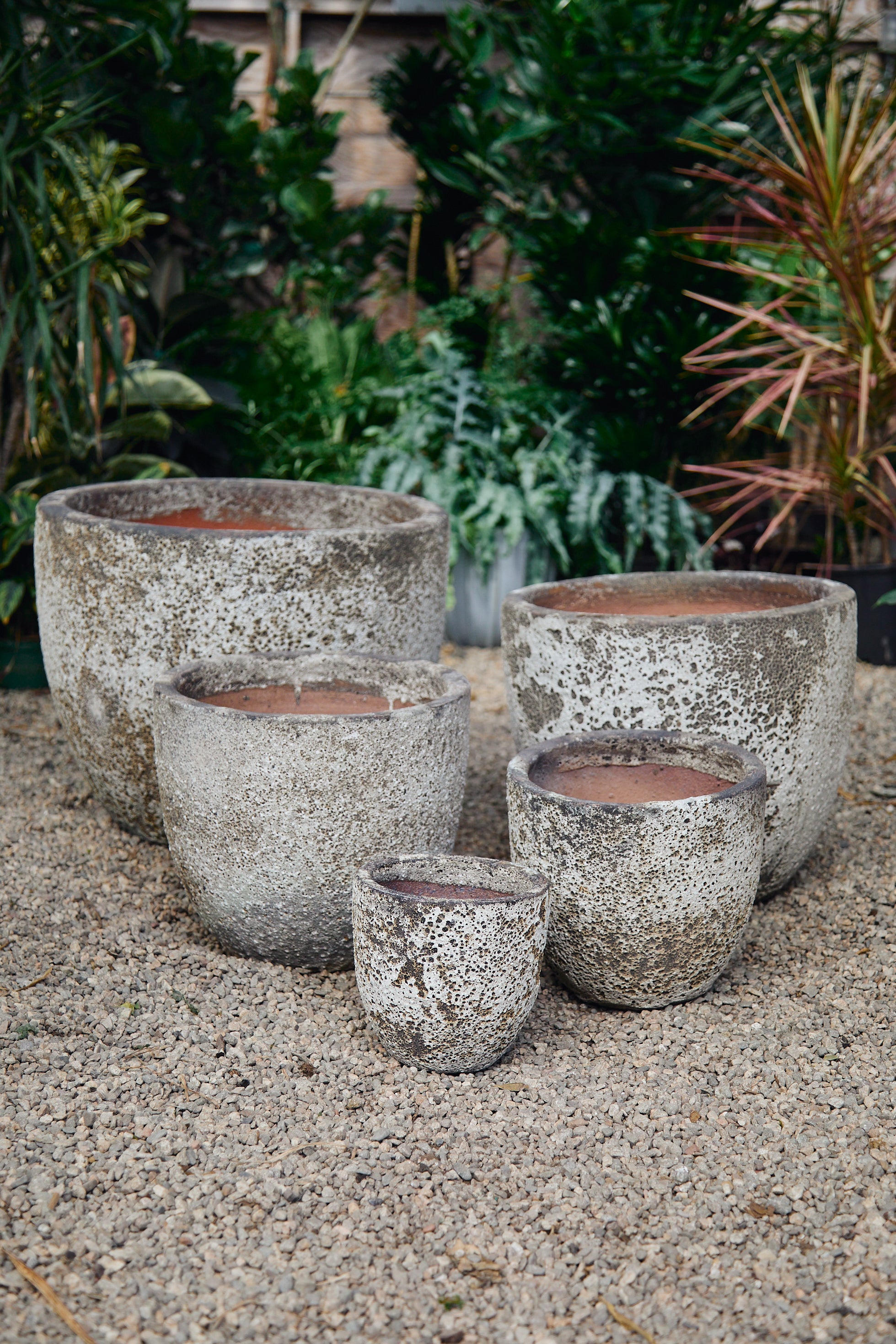 potted plants los angeles Volcanic Planters