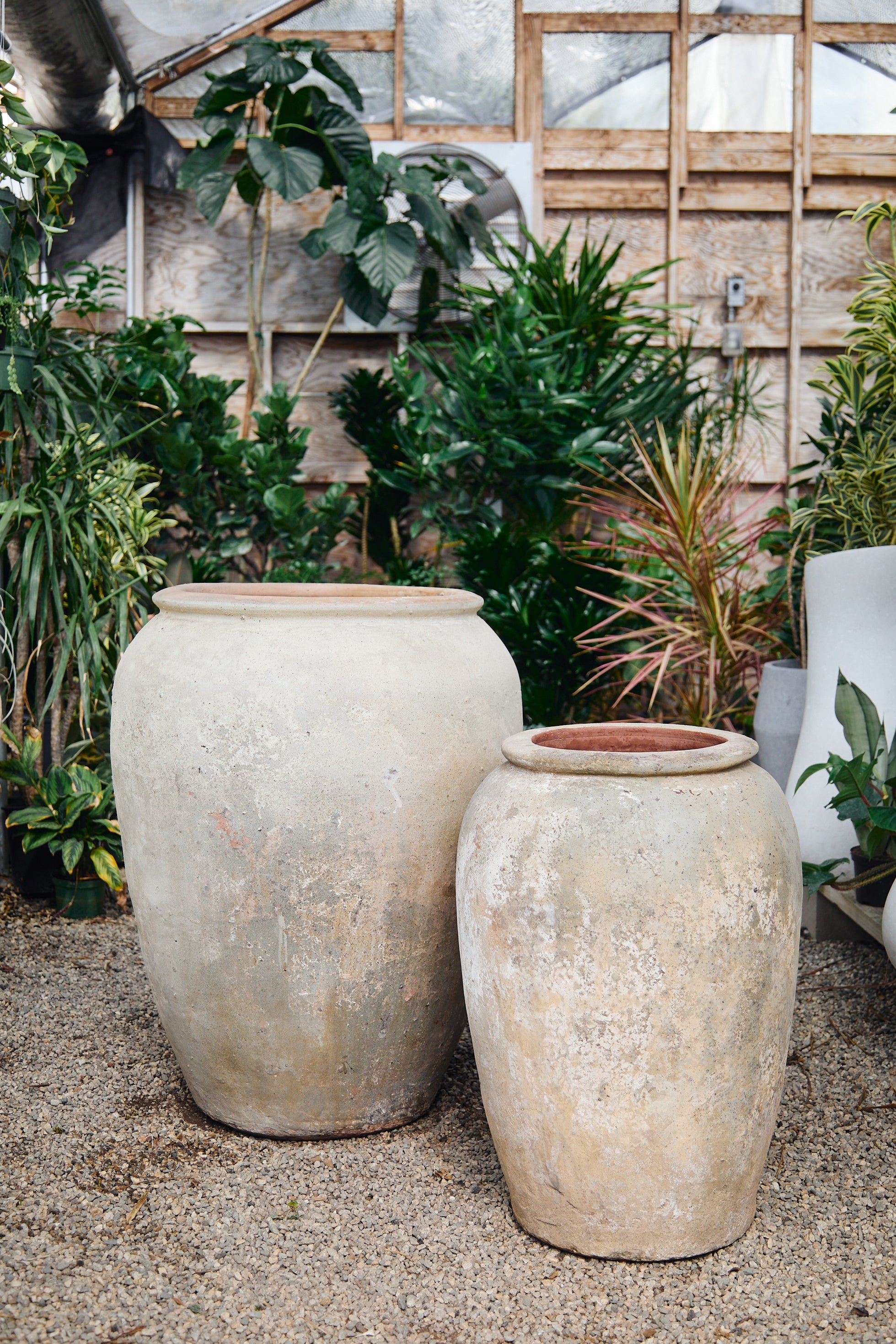 vintage plant pots outdoor Antiquity Planters