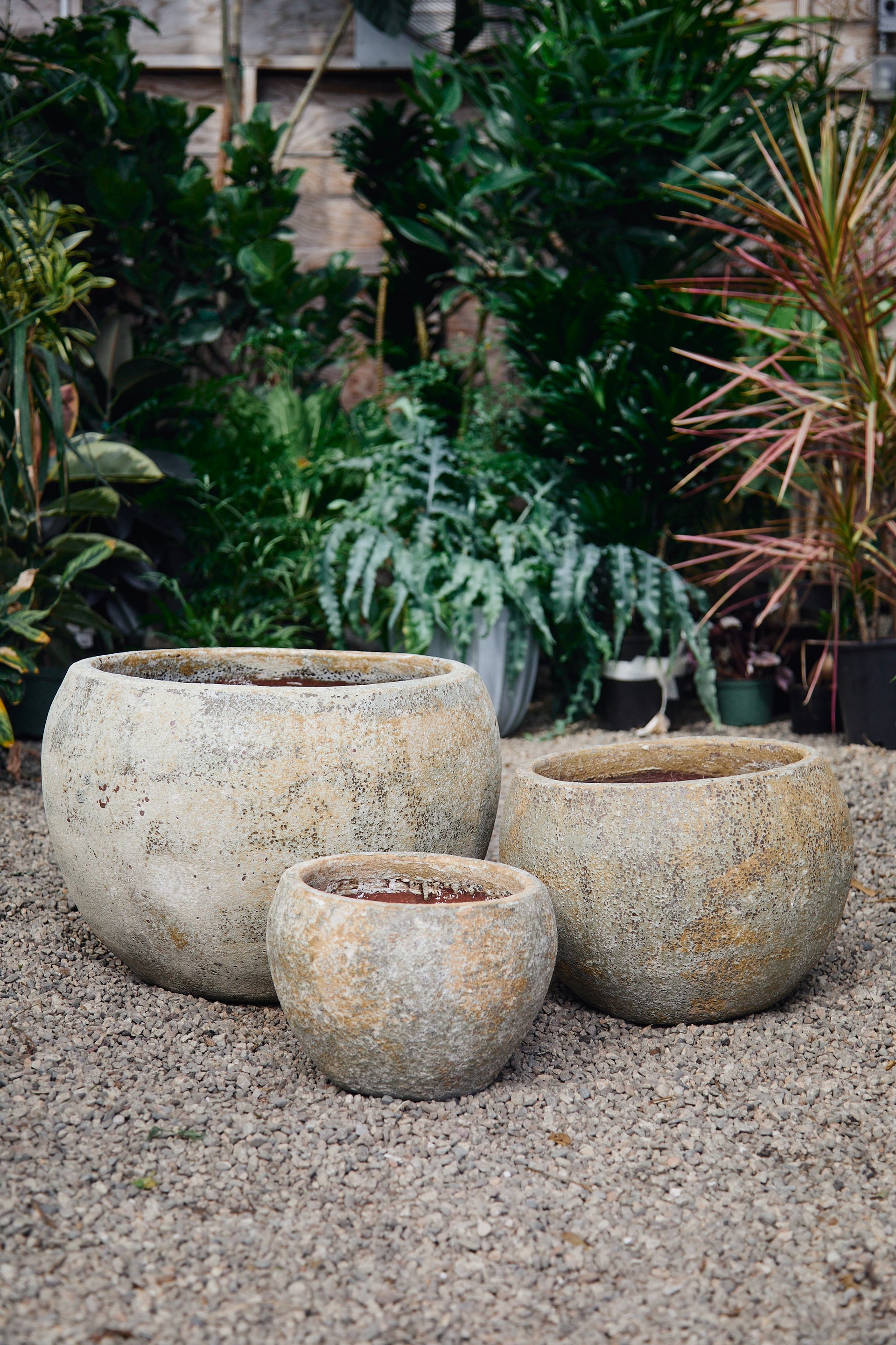 large plant pots los angeles Rustic Designer Planters – Aged Outdoor Pots Los Angeles
