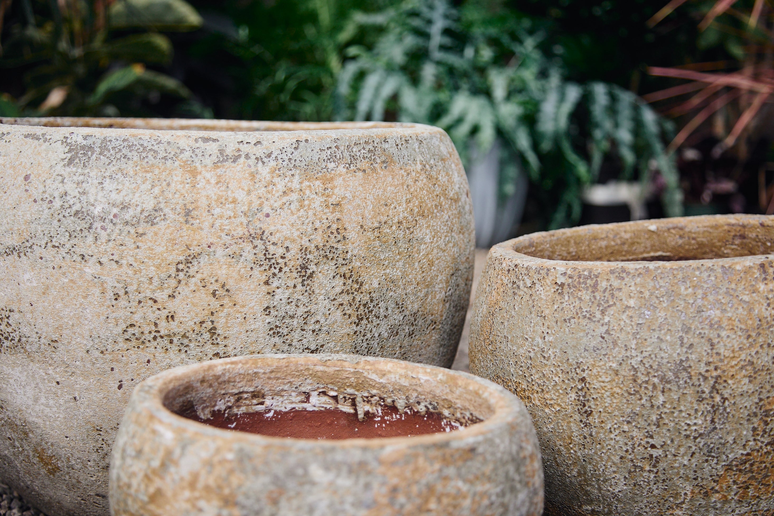 large plant pots los angeles Rustic Designer Planters – Aged Outdoor Pots Los Angeles