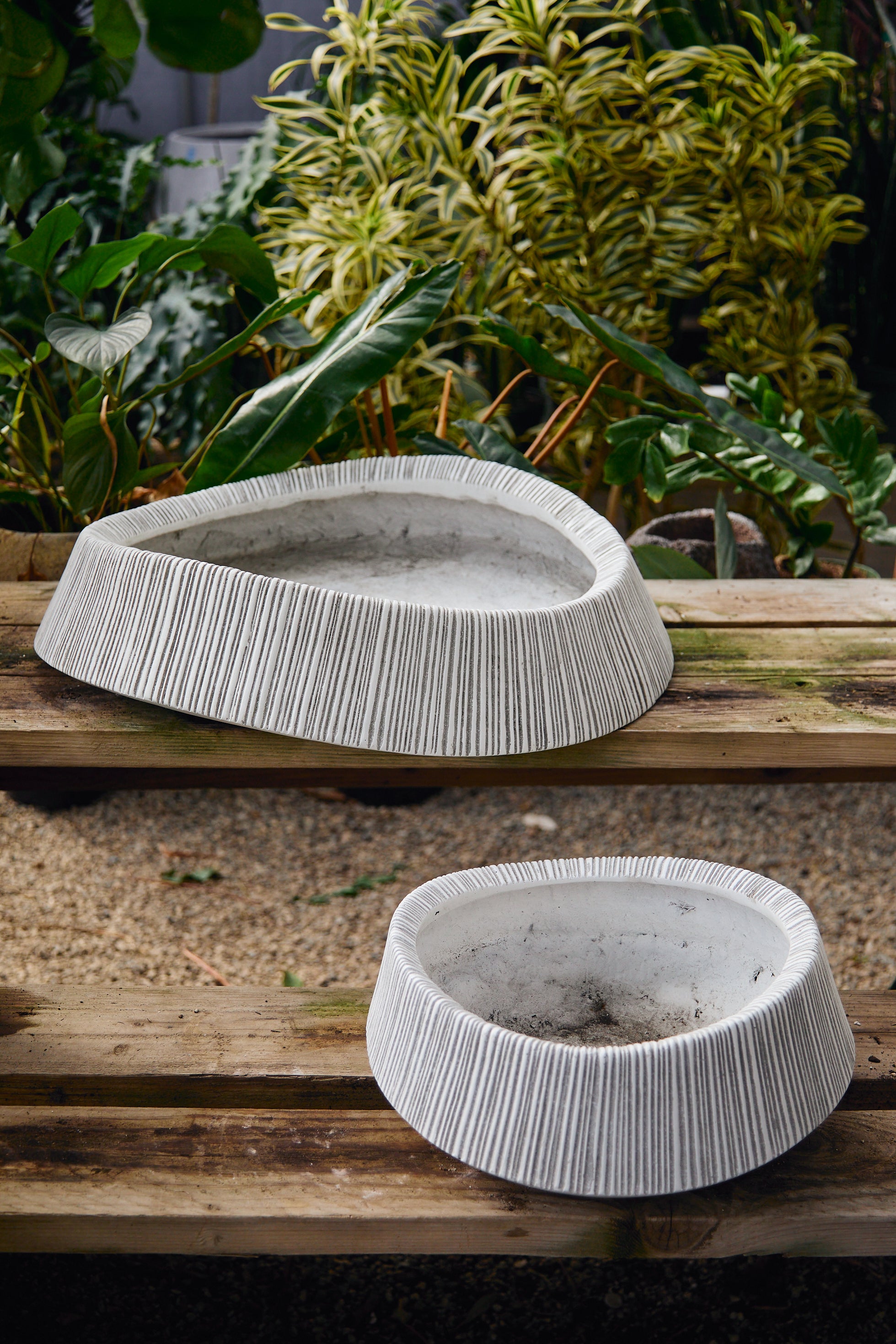 Ribbed Cement Series